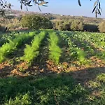 Farm stay Casale Kintsugi *