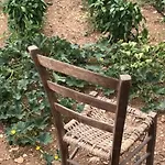Casale Kintsugi Farm stay