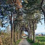 Casale Kintsugi Farm stay Cepagatti