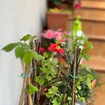 Farm stay Casale Kintsugi Cepagatti