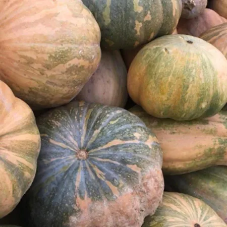 Séjour à la ferme Casale Kintsugi