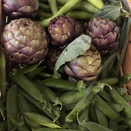 Séjour à la ferme Casale Kintsugi Cepagatti