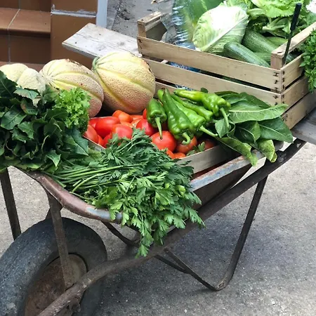 Casale Kintsugi Cepagatti