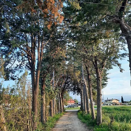 Casale Kintsugi Séjour à la ferme Cepagatti