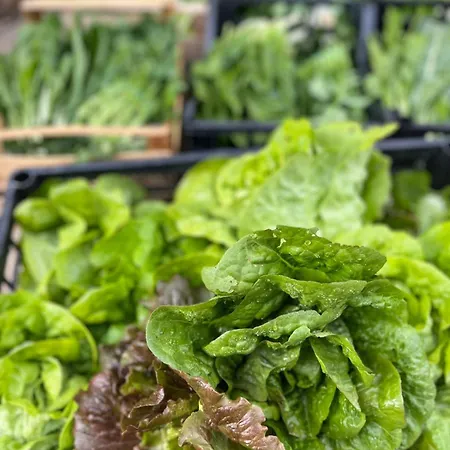 Casale Kintsugi Vakantieboerderij