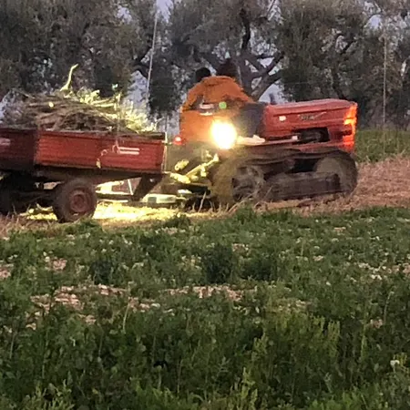 Casale Kintsugi Farm stay Cepagatti