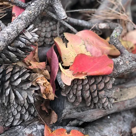 Casale Kintsugi Vakantieboerderij