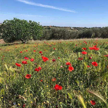 Vakantieboerderij Casale Kintsugi