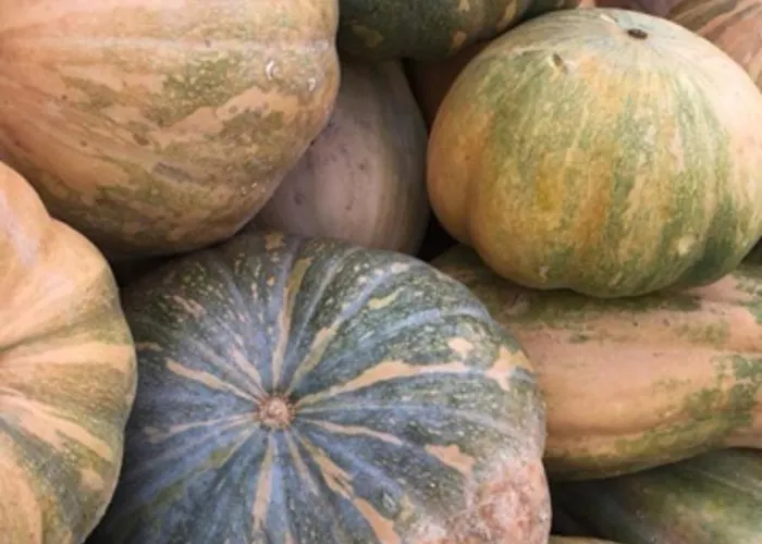 Фермерский дом Casale Kintsugi