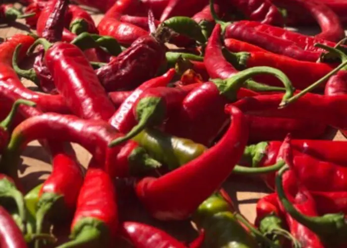 Фермерский дом Casale Kintsugi Cepagatti