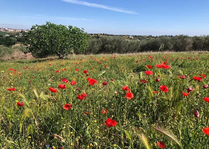 Фермерский дом Casale Kintsugi *