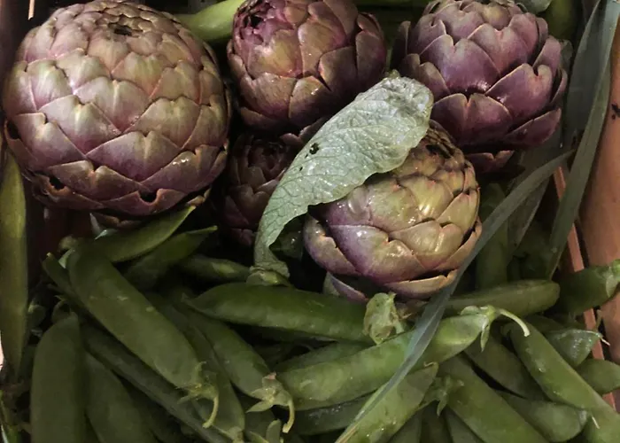 Фермерский дом Casale Kintsugi Cepagatti