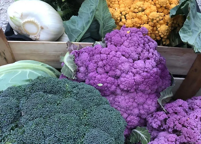 Фермерский дом Casale Kintsugi