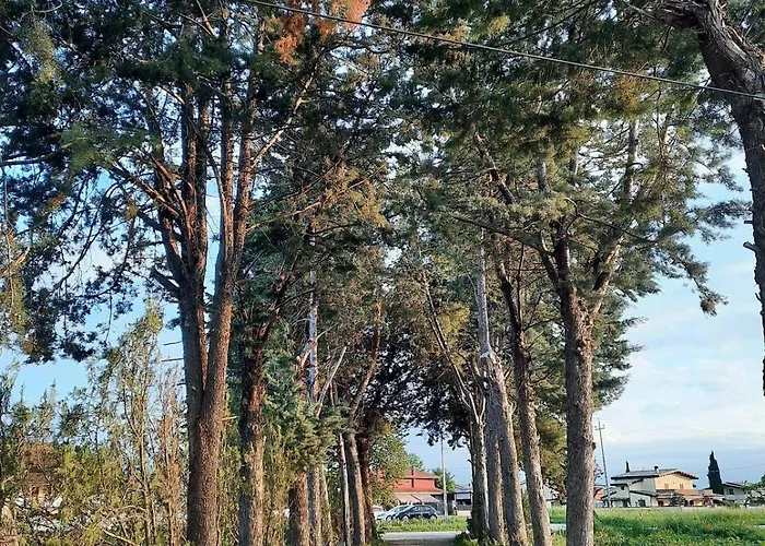 Casale Kintsugi Фермерский дом Cepagatti