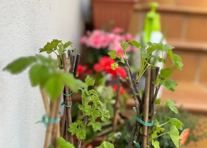 Фермерский дом Casale Kintsugi Cepagatti