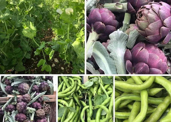 Фермерский дом Casale Kintsugi Cepagatti