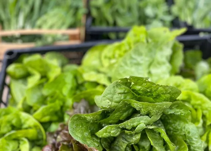 Casale Kintsugi Фермерский дом