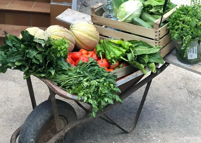 Casale Kintsugi * Cepagatti