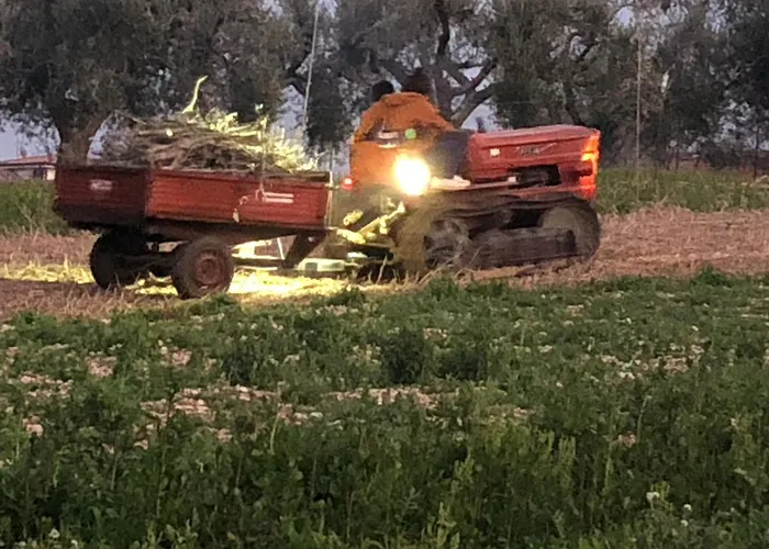 Casale Kintsugi Фермерский дом Cepagatti