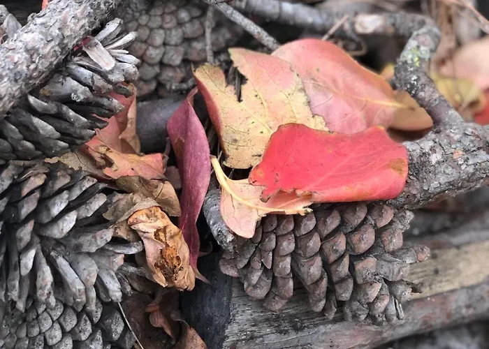 Casale Kintsugi Фермерский дом